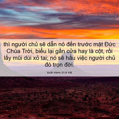 Picture 06 - Xuất Hành 21:6 VIE - thì người chủ sẽ dẫn nó đến - Bible Verse Picture
