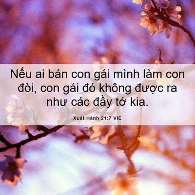 Picture 06 - Xuất Hành 21:7 VIE - Nếu ai bán con gái mình làm con đòi, con - Bible Verse Picture