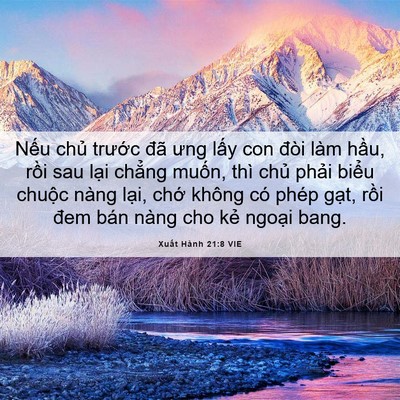 Picture 06 - Xuất Hành 21:8 VIE - Nếu chủ trước đã ưng lấy con đòi - Bible Verse Picture