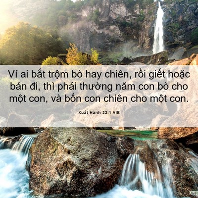Picture 06 - Xuất Hành 22:1 VIE - Ví ai bắt trộm bò hay chiên, rồi giết - Bible Verse Picture