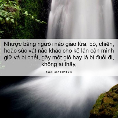 Picture 06 - Xuất Hành 22:10 VIE - Nhược bằng người nào giao lừa, bò, - Bible Verse Picture