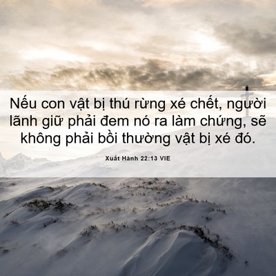 Picture 06 - Xuất Hành 22:13 VIE - Nếu con vật bị thú rừng xé chết, - Bible Verse Picture