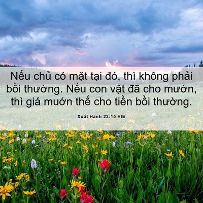 Picture 06 - Xuất Hành 22:15 VIE - Nếu chủ có mặt tại đó, thì không - Bible Verse Picture