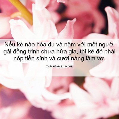Picture 06 - Xuất Hành 22:16 VIE - Nếu kẻ nào hòa dụ và nằm với một - Bible Verse Picture