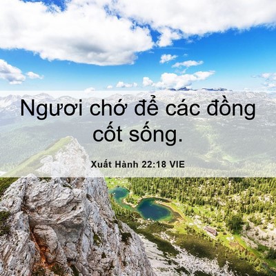Picture 06 - Xuất Hành 22:18 VIE - Ngươi chớ để các đồng cốt - Bible Verse Picture