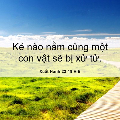 Picture 06 - Xuất Hành 22:19 VIE - Kẻ nào nằm cùng một con vật sẽ bị - Bible Verse Picture