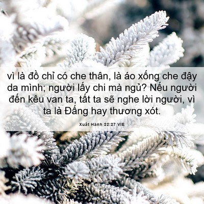 Picture 06 - Xuất Hành 22:27 VIE - vì là đồ chỉ có che thân, là áo xống - Bible Verse Picture