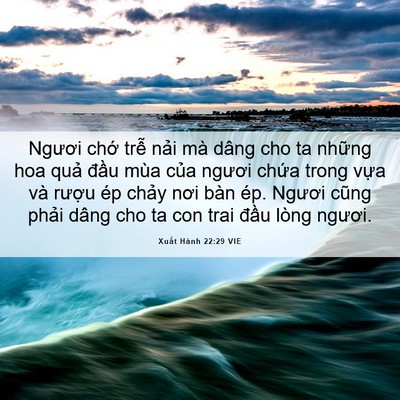 Picture 06 - Xuất Hành 22:29 VIE - Ngươi chớ trễ nải mà dâng cho ta - Bible Verse Picture