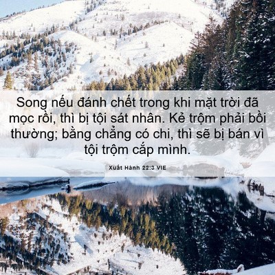 Picture 06 - Xuất Hành 22:3 VIE - Song nếu đánh chết trong khi mặt trời - Bible Verse Picture