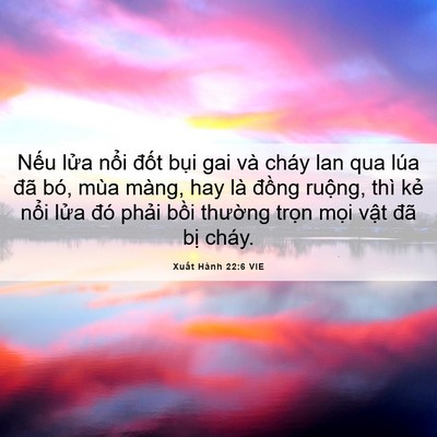 Picture 06 - Xuất Hành 22:6 VIE - Nếu lửa nổi đốt bụi gai và cháy lan - Bible Verse Picture