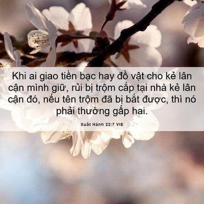 Picture 06 - Xuất Hành 22:7 VIE - Khi ai giao tiền bạc hay đồ vật cho kẻ - Bible Verse Picture