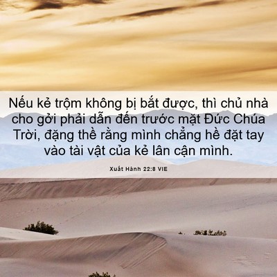 Picture 06 - Xuất Hành 22:8 VIE - Nếu kẻ trộm không bị bắt được, - Bible Verse Picture
