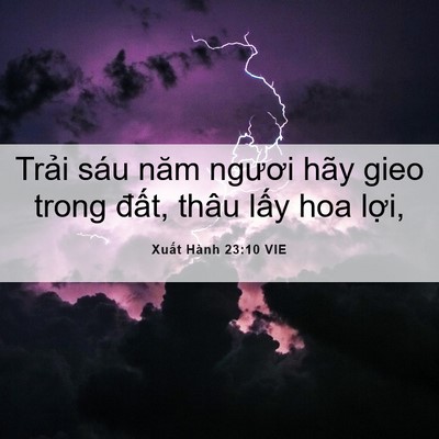 Picture 06 - Xuất Hành 23:10 VIE - Trải sáu năm ngươi hãy gieo trong đất, - Bible Verse Picture