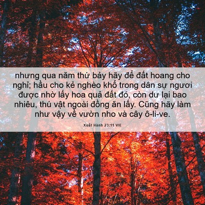 Picture 06 - Xuất Hành 23:11 VIE - nhưng qua năm thứ bảy hãy để đất - Bible Verse Picture