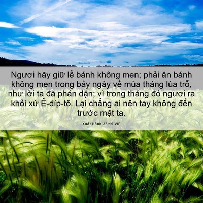 Picture 06 - Xuất Hành 23:15 VIE - Ngươi hãy giữ lễ bánh không men; phải - Bible Verse Picture