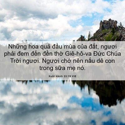 Picture 06 - Xuất Hành 23:19 VIE - Những hoa quả đầu mùa của đất, - Bible Verse Picture