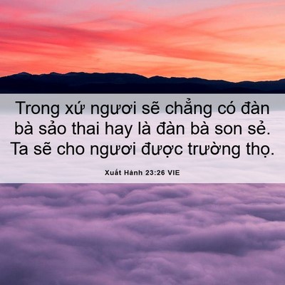 Picture 06 - Xuất Hành 23:26 VIE - Trong xứ ngươi sẽ chẳng có đàn bà - Bible Verse Picture