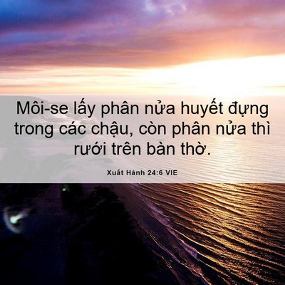Picture 06 - Xuất Hành 24:6 VIE - Môi-se lấy phân nửa huyết đựng trong - Bible Verse Picture