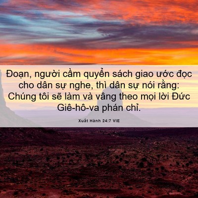 Picture 06 - Xuất Hành 24:7 VIE - Đoạn, người cầm quyển sách giao ước - Bible Verse Picture