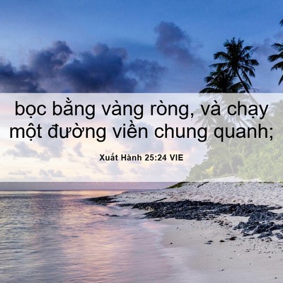 Picture 06 - Xuất Hành 25:24 VIE - bọc bằng vàng ròng, và chạy một - Bible Verse Picture