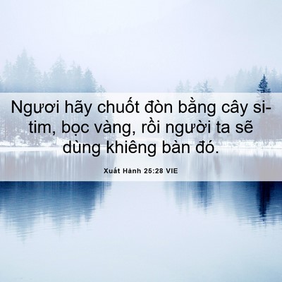 Picture 06 - Xuất Hành 25:28 VIE - Ngươi hãy chuốt đòn bằng cây si-tim, - Bible Verse Picture