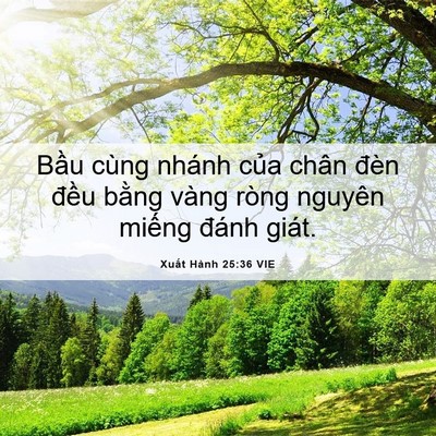 Picture 06 - Xuất Hành 25:36 VIE - Bầu cùng nhánh của chân đèn đều - Bible Verse Picture