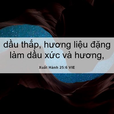 Picture 06 - Xuất Hành 25:6 VIE - dầu thắp, hương liệu đặng làm dầu - Bible Verse Picture