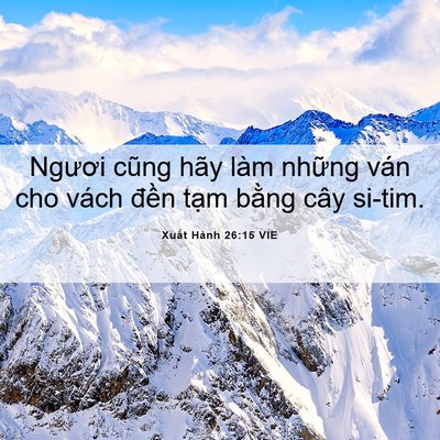 Picture 06 - Xuất Hành 26:15 VIE - Ngươi cũng hãy làm những ván cho vách - Bible Verse Picture