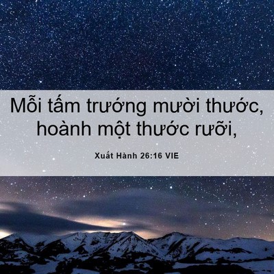 Picture 06 - Xuất Hành 26:16 VIE - Mỗi tấm trướng mười thước, hoành - Bible Verse Picture