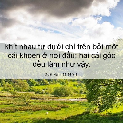 Picture 06 - Xuất Hành 26:24 VIE - khít nhau tự dưới chí trên bởi một - Bible Verse Picture