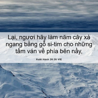 Picture 06 - Xuất Hành 26:26 VIE - Lại, ngươi hãy làm năm cây xà ngang - Bible Verse Picture