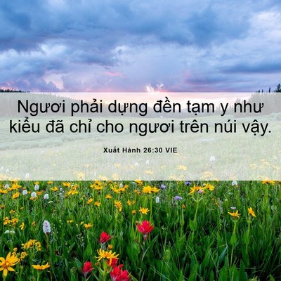Picture 06 - Xuất Hành 26:30 VIE - Ngươi phải dựng đền tạm y như kiểu - Bible Verse Picture