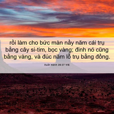 Picture 06 - Xuất Hành 26:37 VIE - rồi làm cho bức màn nầy năm cái trụ - Bible Verse Picture