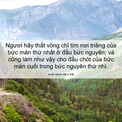 Picture 06 - Xuất Hành 26:4 VIE - Ngươi hãy thắt vòng chỉ tím nơi triêng - Bible Verse Picture