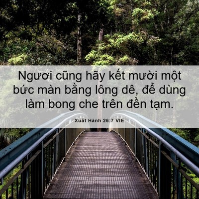 Picture 06 - Xuất Hành 26:7 VIE - Ngươi cũng hãy kết mười một bức màn - Bible Verse Picture