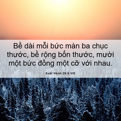 Picture 06 - Xuất Hành 26:8 VIE - Bề dài mỗi bức màn ba chục thước, - Bible Verse Picture