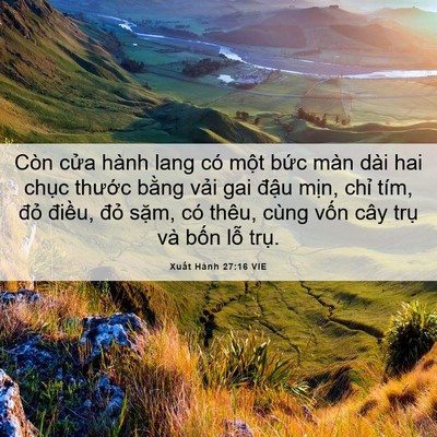 Picture 06 - Xuất Hành 27:16 VIE - Còn cửa hành lang có một bức màn dài - Bible Verse Picture