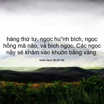 Picture 06 - Xuất Hành 28:20 VIE - hàng thứ tư, ngọc hu”nh bích, ngọc - Bible Verse Picture