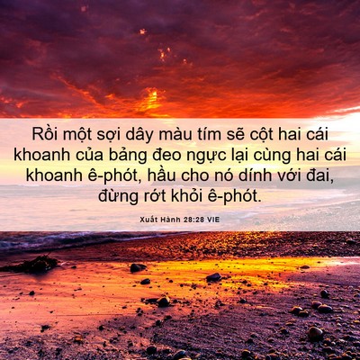 Picture 06 - Xuất Hành 28:28 VIE - Rồi một sợi dây màu tím sẽ cột hai - Bible Verse Picture