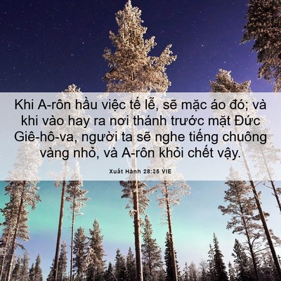 Picture 06 - Xuất Hành 28:35 VIE - Khi A-rôn hầu việc tế lễ, sẽ mặc áo - Bible Verse Picture