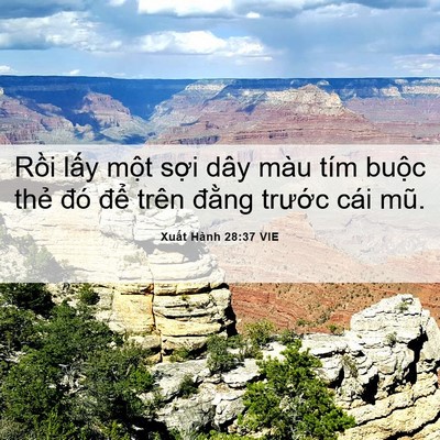 Picture 06 - Xuất Hành 28:37 VIE - Rồi lấy một sợi dây màu tím buộc - Bible Verse Picture