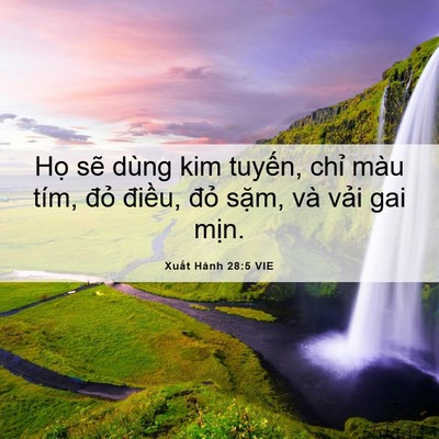 Picture 06 - Xuất Hành 28:5 VIE - Họ sẽ dùng kim tuyến, chỉ màu tím, - Bible Verse Picture