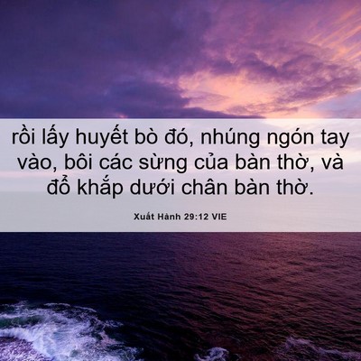 Picture 06 - Xuất Hành 29:12 VIE - rồi lấy huyết bò đó, nhúng ngón tay - Bible Verse Picture