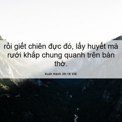 Picture 06 - Xuất Hành 29:16 VIE - rồi giết chiên đực đó, lấy huyết - Bible Verse Picture