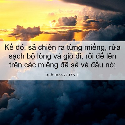 Picture 06 - Xuất Hành 29:17 VIE - Kế đó, sả chiên ra từng miếng, rửa - Bible Verse Picture