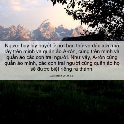 Picture 06 - Xuất Hành 29:21 VIE - Ngươi hãy lấy huyết ở nơi bàn thờ - Bible Verse Picture