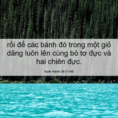 Picture 06 - Xuất Hành 29:3 VIE - rồi để các bánh đó trong một giỏ - Bible Verse Picture