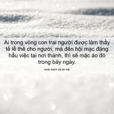 Picture 06 - Xuất Hành 29:30 VIE - Ai trong vòng con trai người được làm - Bible Verse Picture