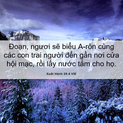 Picture 06 - Xuất Hành 29:4 VIE - Đoạn, ngươi sẽ biểu A-rôn cùng các - Bible Verse Picture