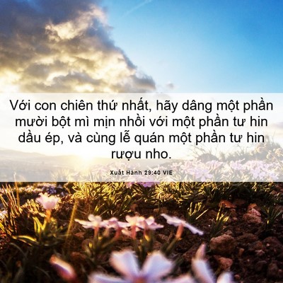 Picture 06 - Xuất Hành 29:40 VIE - Với con chiên thứ nhất, hãy dâng một - Bible Verse Picture